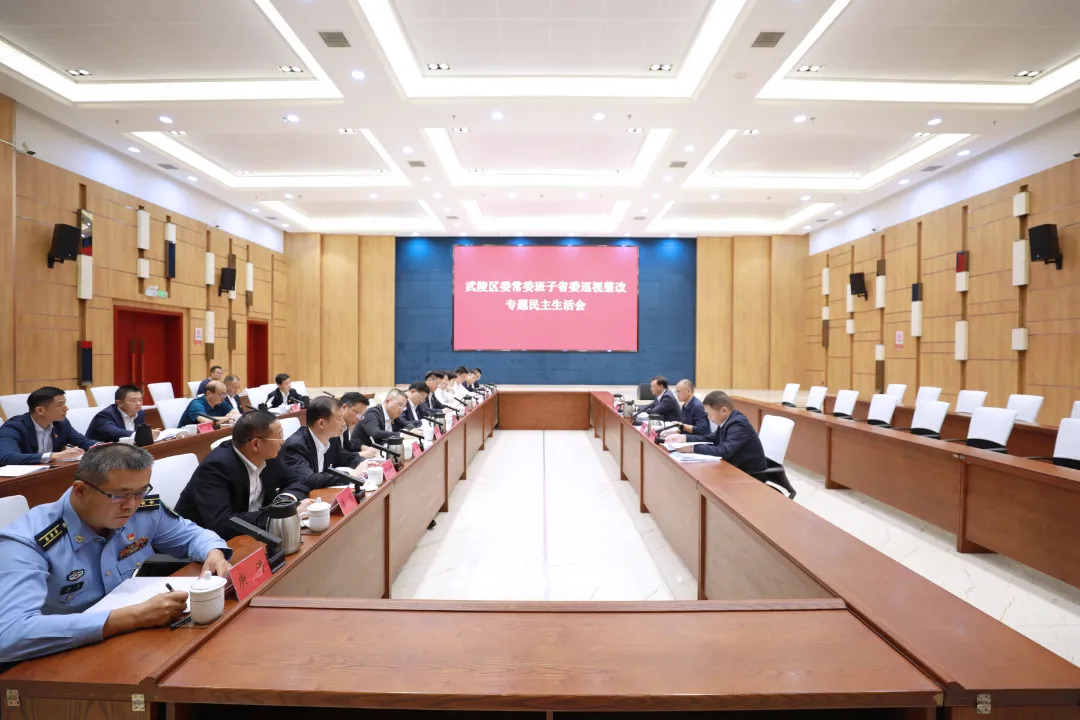武陵区委常委班子召开省委巡视整改专题民主生活会