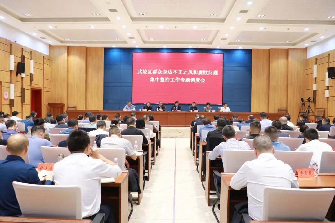 全力攻坚 确保质效 武陵区召开群众身边不正之风和腐败问题集中整治工作专题调度会