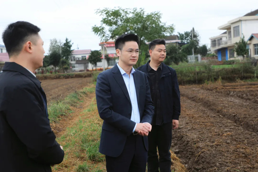 筑牢安全防线 助推绿色发展 寻健督导调研安全生产与秸秆综合利用工作