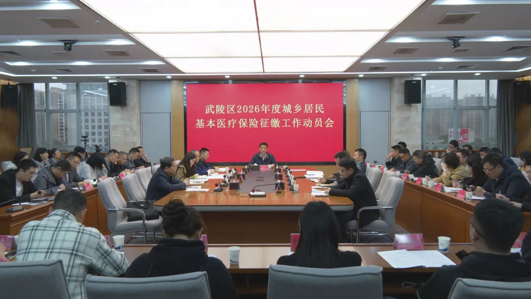 武陵区召开2026年度城乡居民基本医疗保险征缴工作动员会