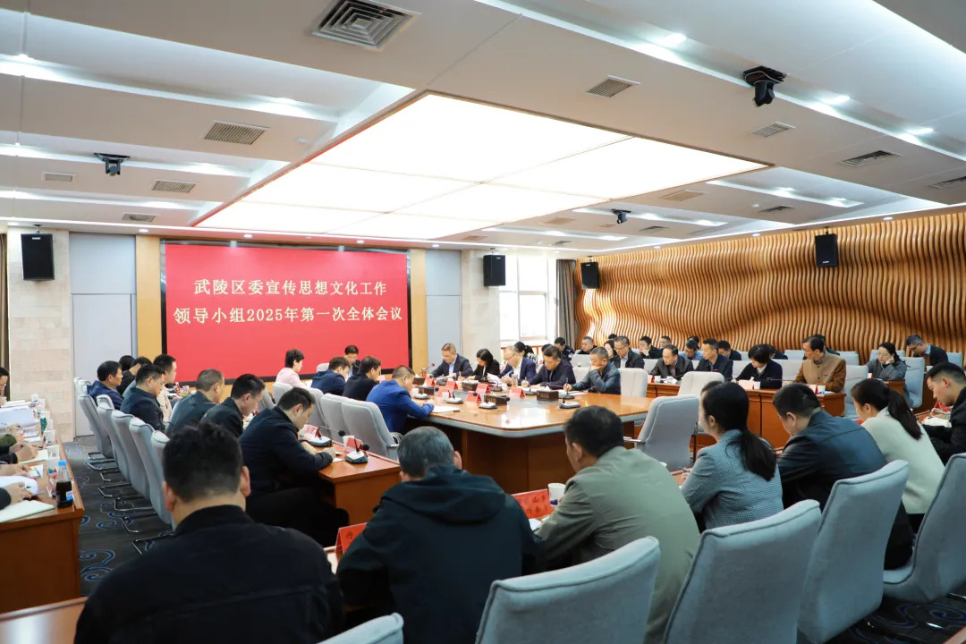 武陵区委宣传思想文化工作领导小组2025年第一次全体会议召开