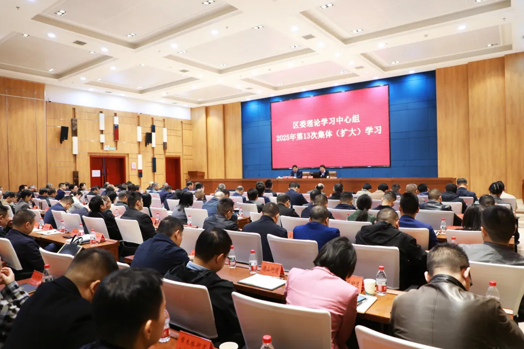 武陵区委理论学习中心组2025年第13次集体（扩大）学习举行