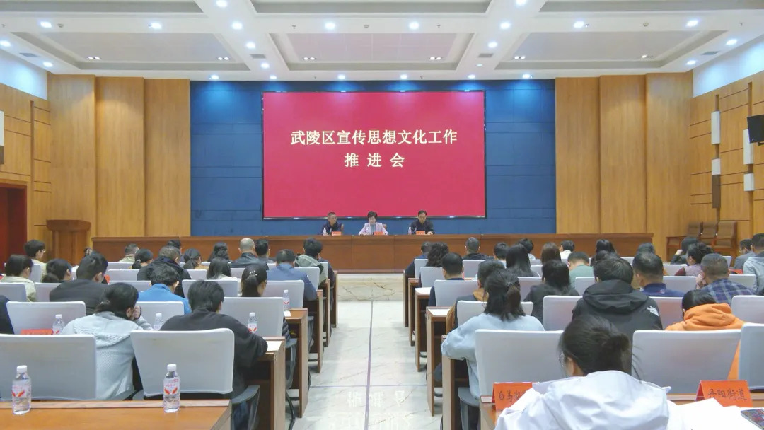 武陵区召开宣传思想文化工作推进会