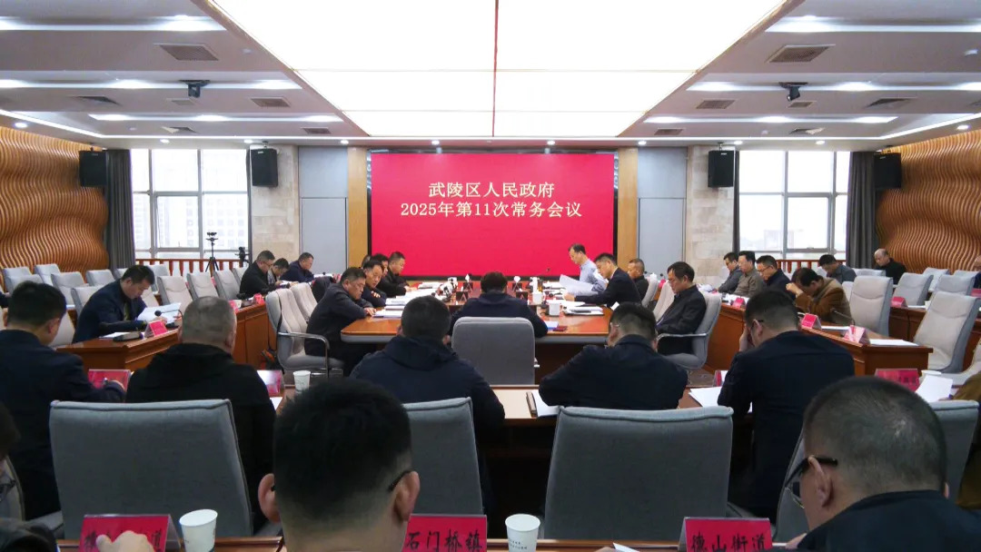 武陵区政府常务会传达学习上级有关精神