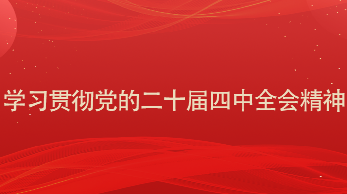 学习贯彻党的二十届四中全会精神