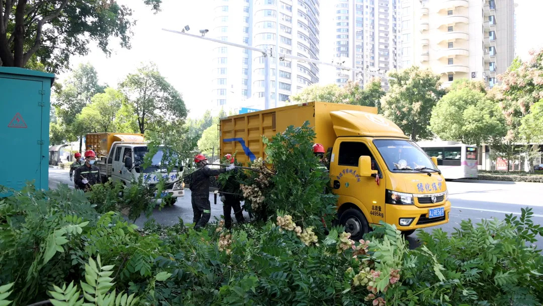 常德：科技赋能使绿化废弃物实现低尘化处理