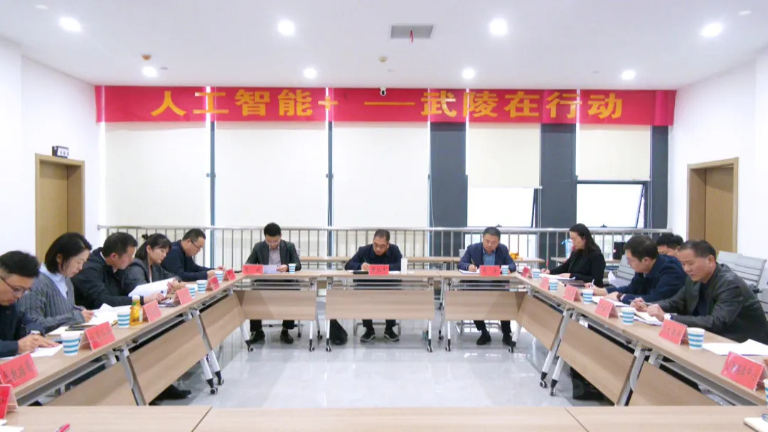 武陵区文科融合专班召开工作调度会