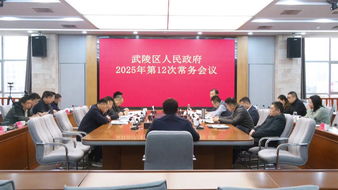 武陵区政府常务会议传达学习上级有关精神