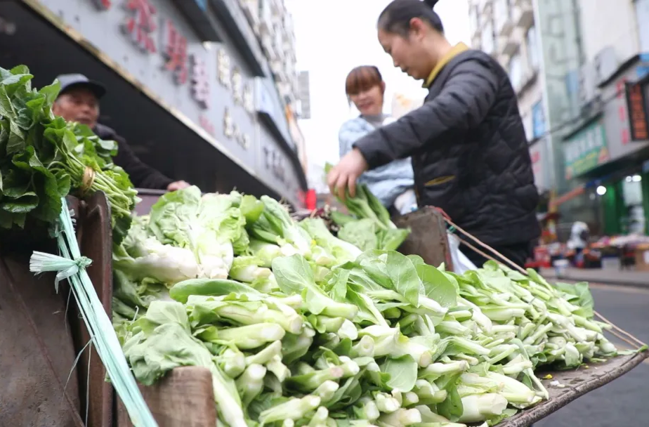 11月上旬常德市蔬菜价格以跌为主
