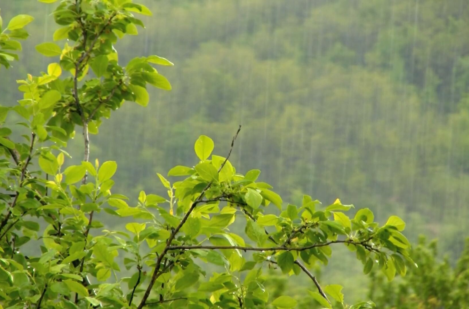 强冷空气将至 常德市将迎寒潮大风降雨天气