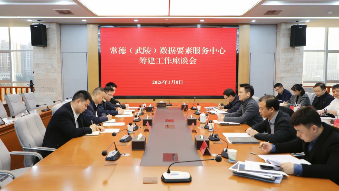 常德（武陵）数据要素服务中心筹建工作座谈会举行