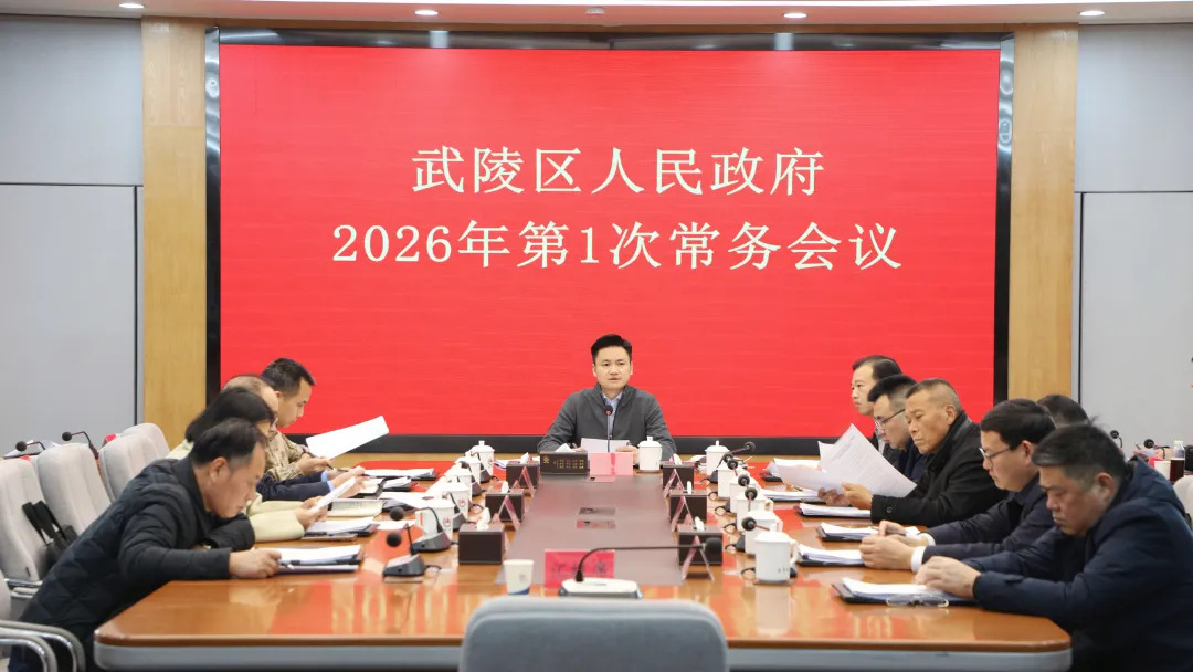 武陵区政府常务会议传达学习上级有关精神