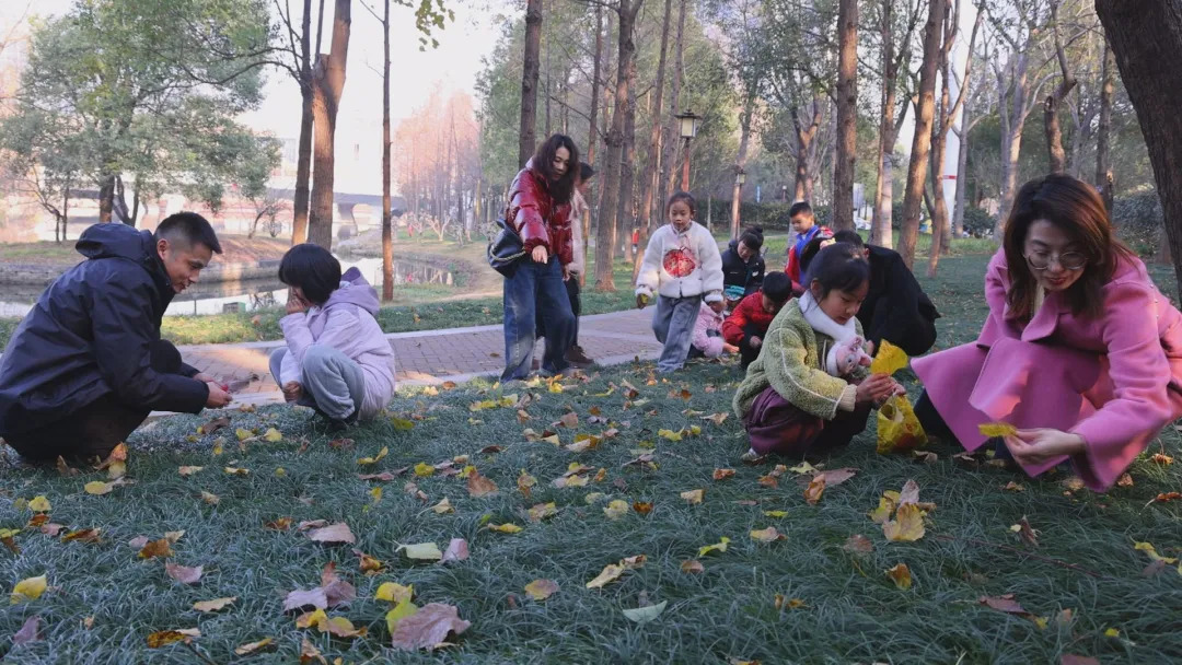 落叶成画 枯枝成趣：“捡冬”活动受市民青睐