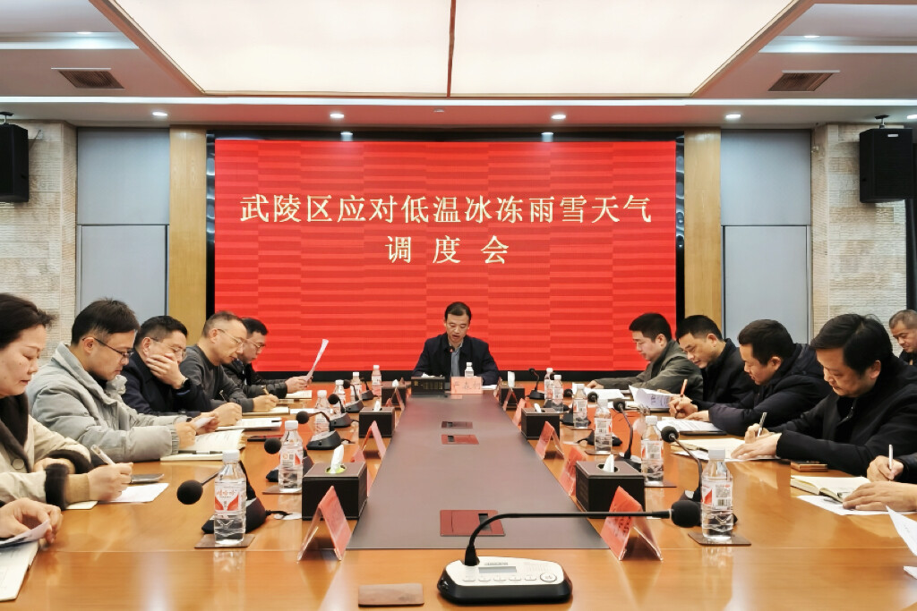 武陵区召开应对低温冰冻雨雪天气工作调度会