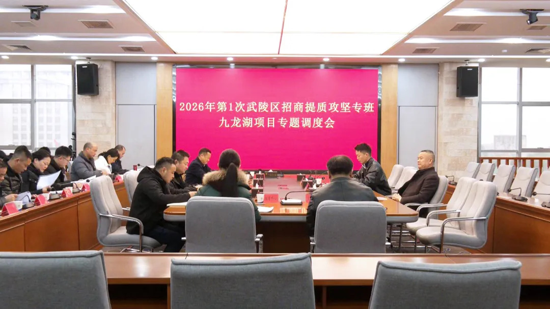武陵区召开招商项目提质攻坚专题调度会