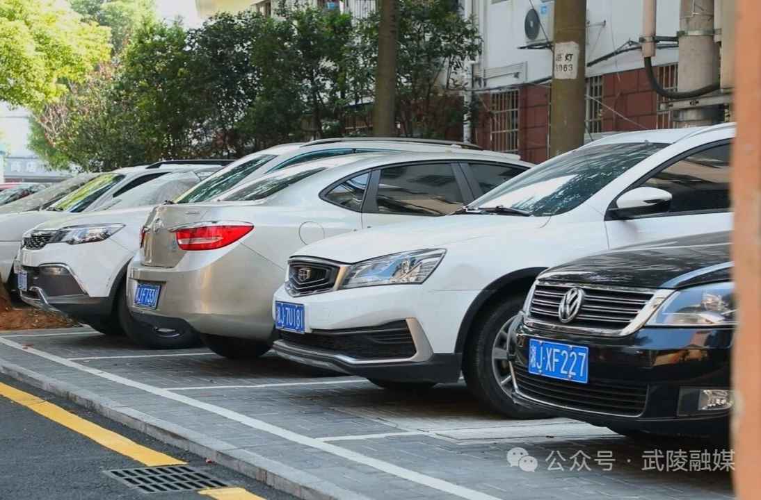 武陵区：办好民生实事 绘就幸福图景