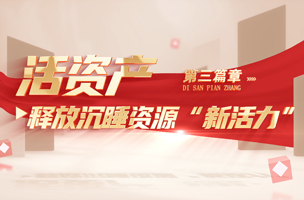 向“新”登“高”稳驭舟——活资产