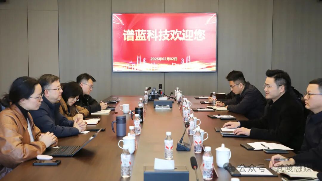 聚焦数据产业全链条布局 寻健赴长沙开展招商考察