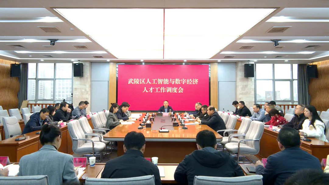 武陵区部署人工智能与数字经济人才库建设