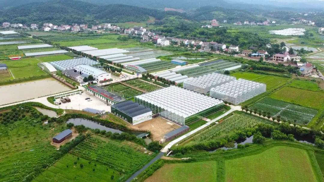 【代表委员风采】武陵区政协委员 李能：深耕实业担使命 履职建言促发展