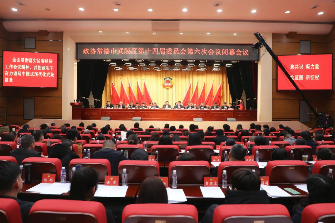 政协常德市武陵区第十四届委员会第六次会议胜利闭幕