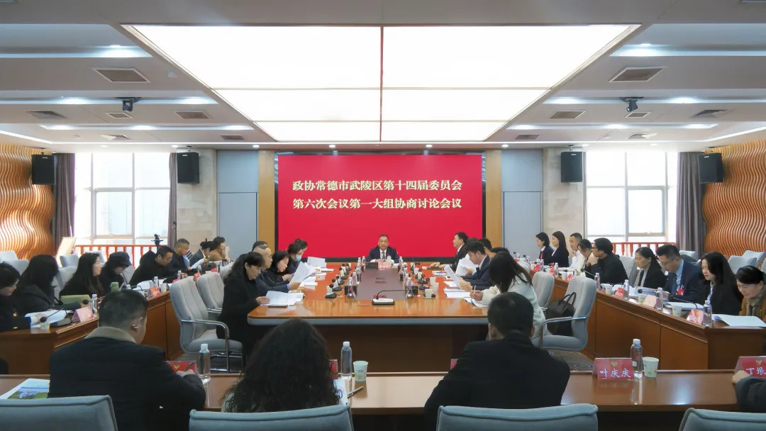 政协委员分组协商讨论工作报告