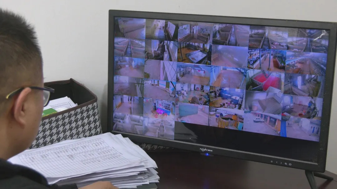 武陵区畜牧水产事务中心：智慧监管守护餐桌安全