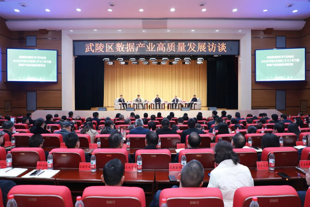 武陵区委理论学习中心组举行2026年第2次集体（扩大）学习暨数据产业高质量发展访谈