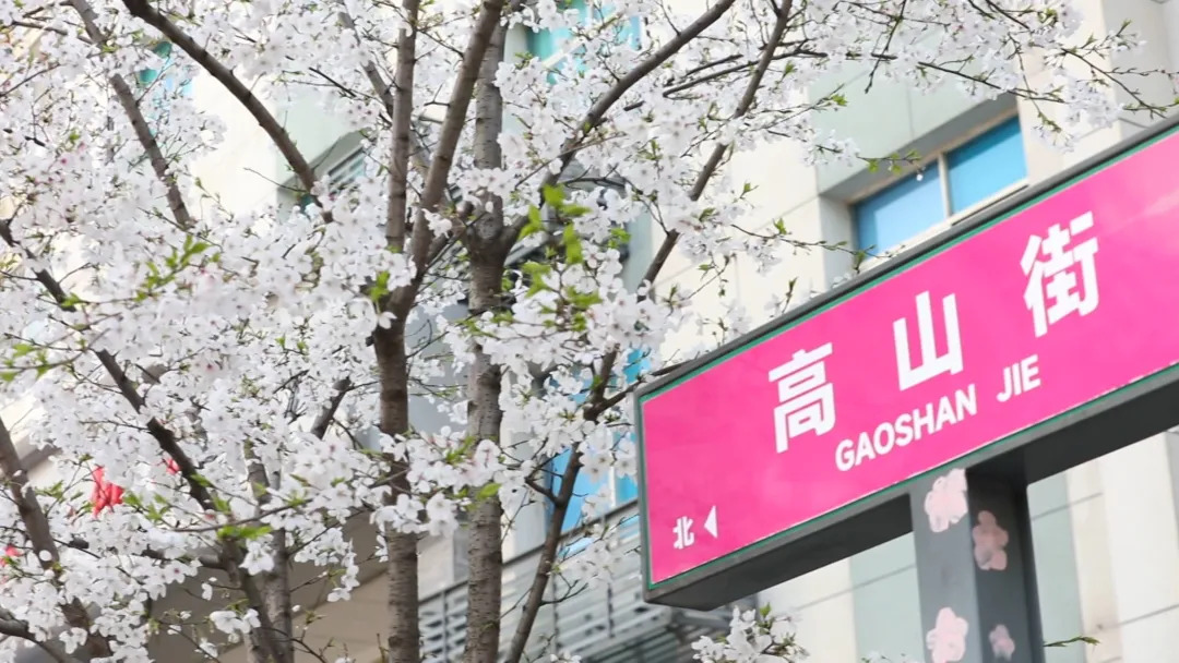 【拙诚实干谱新篇】府坪街道：书写文旅消费与城市建设双优答卷