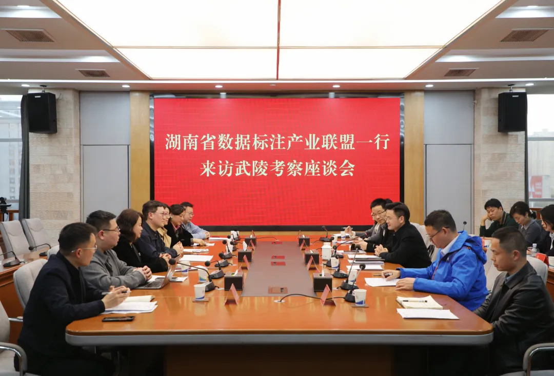 湖南省数据标注产业联盟一行来武陵区考察座谈