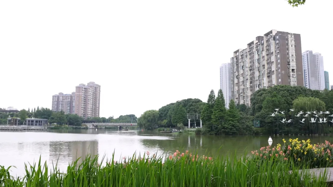 【拙诚实干谱新篇】穿紫河街道：聚焦“一河一街一圈”打造高质量发展新引擎