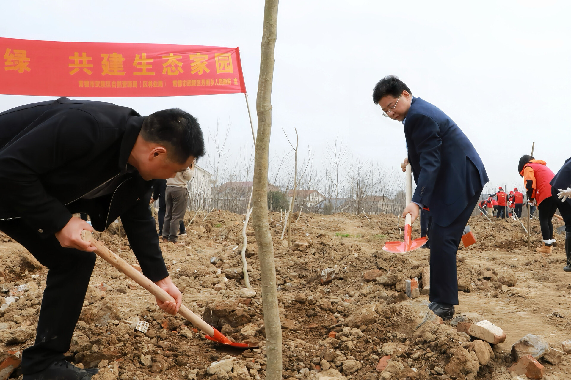武陵区：添绿正当时 干群共植“生态林”