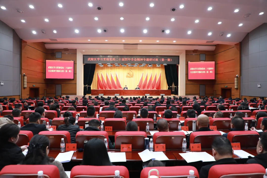 武陵区学习贯彻党的二十届四中全会精神专题培训班（第一期）开班