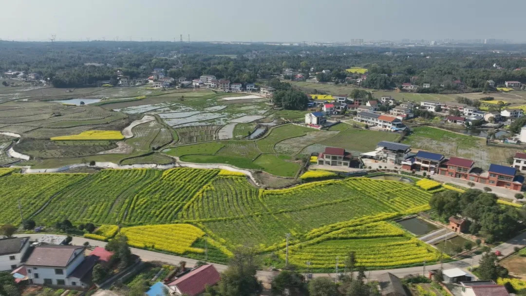 【拙诚实干谱新篇】石门桥镇：锚定城乡融合 实干兴村绘新卷