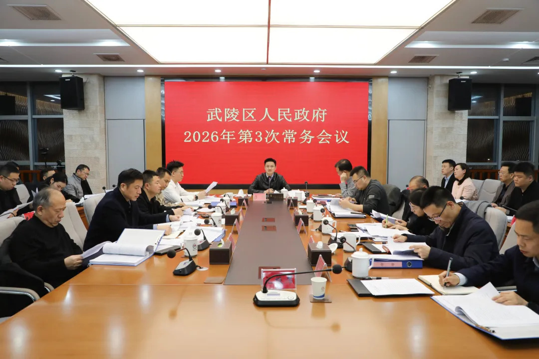 武陵区政府常务会议传达学习上级有关精神