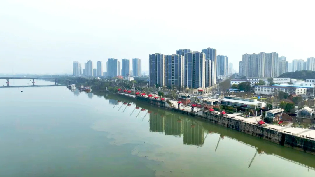 【拙诚实干谱新篇】德山街道：攻坚跨江融合 实干绘就城乡发展新图景