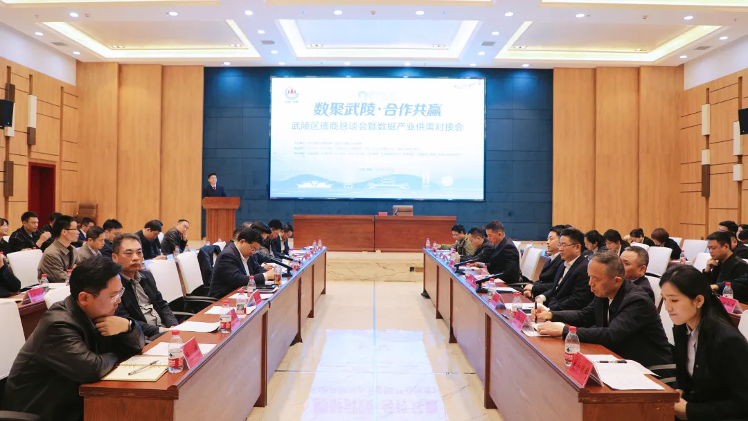 武陵区2026年“数聚武陵·合作共赢”德商恳谈会暨数据产业供需对接会举行