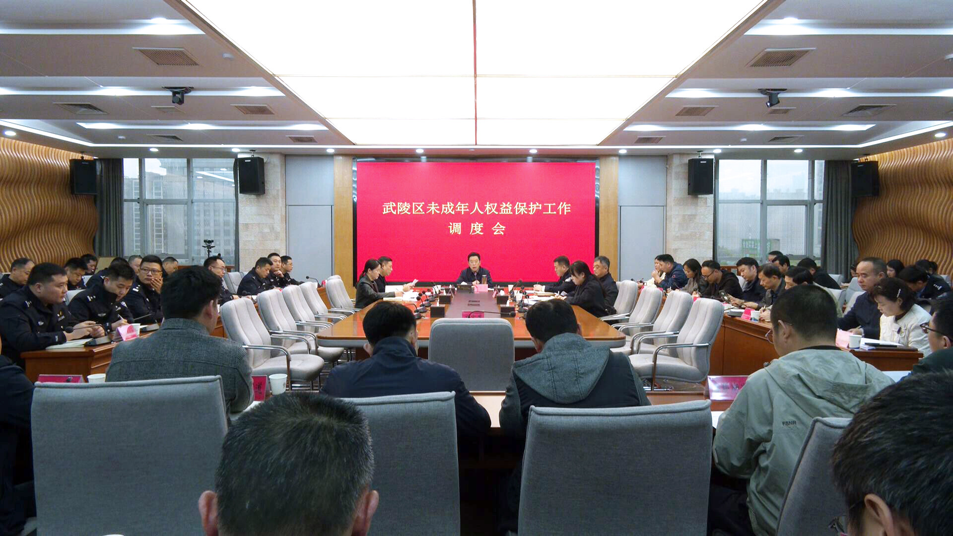 武陵区召开未成年人权益保护工作调度会