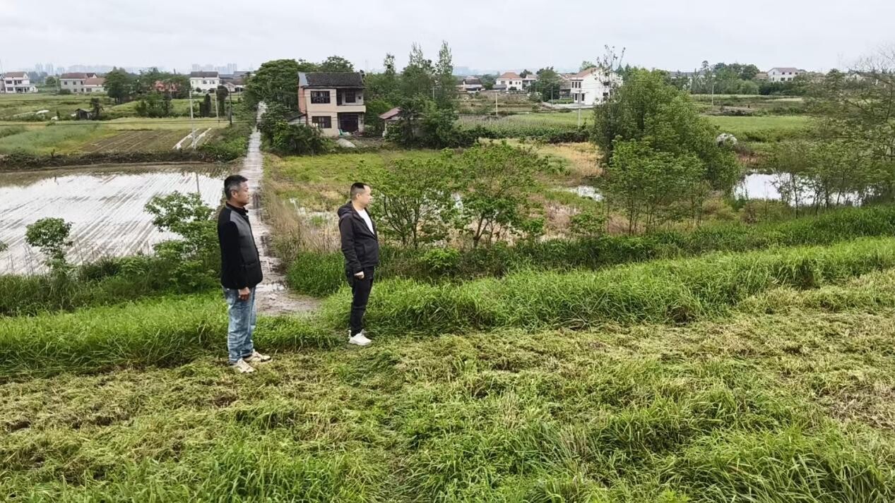 武陵区芦山垸开展堤防巡查
