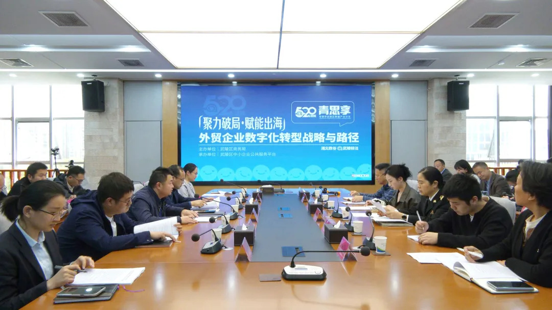 武陵区举办外贸企业数字化转型战略与路径沙龙 助力企业“数字出海”