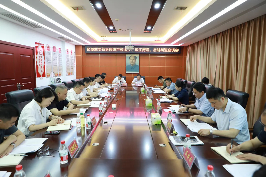 宋磊在芦荻山乡、东江街道、启明街道调研