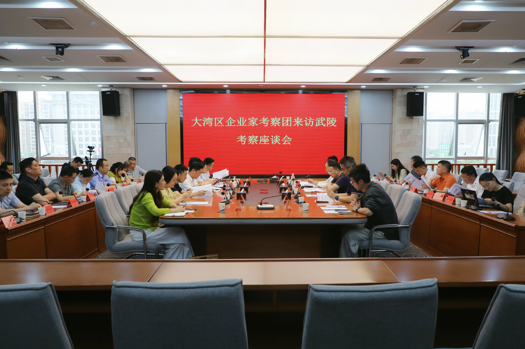 大湾区企业家考察团来武陵区考察座谈