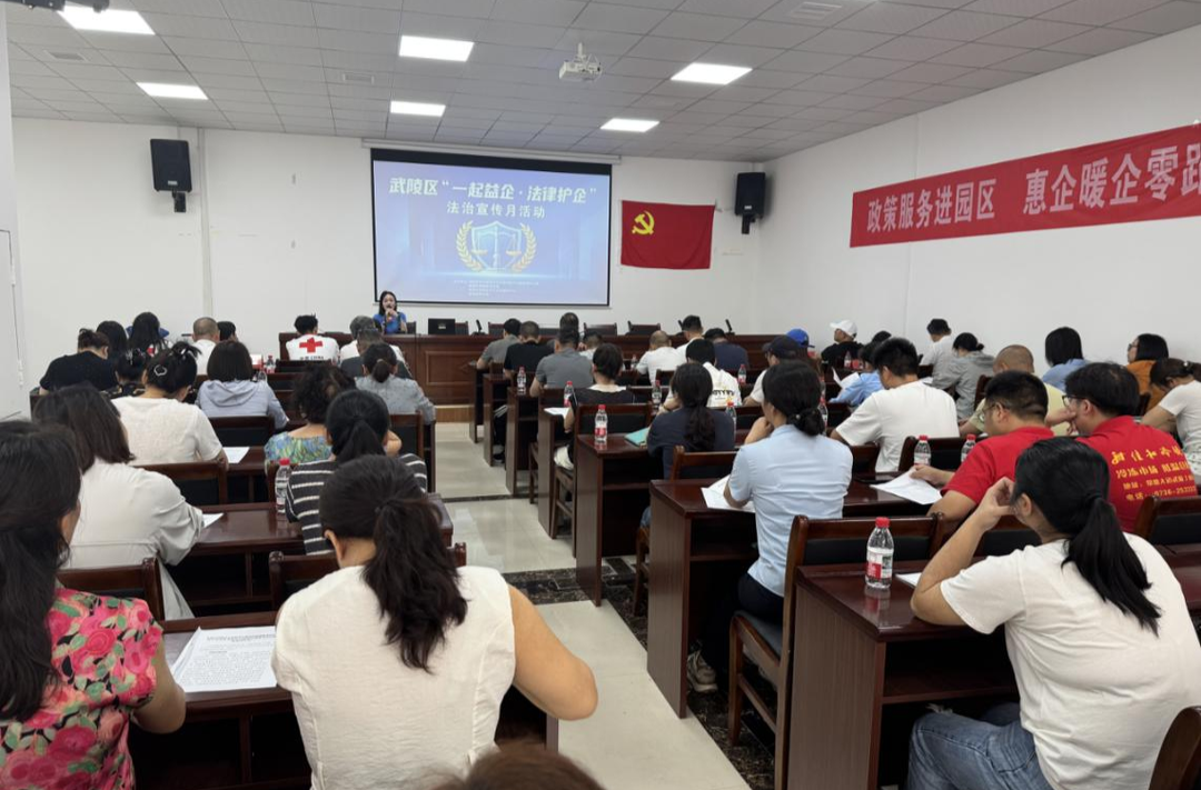 武陵区“一起益企·法律护企”宣传月活动圆满收官