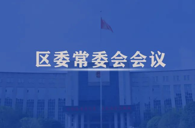 宋磊主持召开区委常委会会议