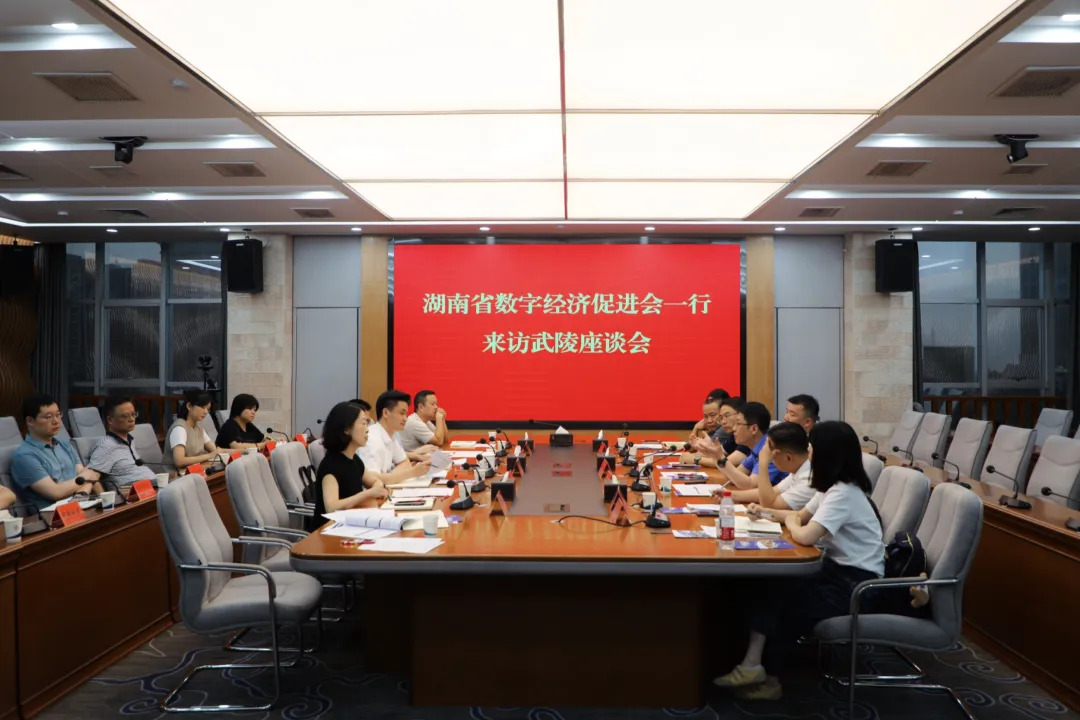 湖南省数字经济促进会一行来武陵区考察座谈