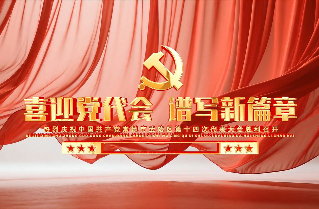 【喜迎党代会 谱写新篇章】武陵区党代表今天报到：怀揣民意 共谋发展