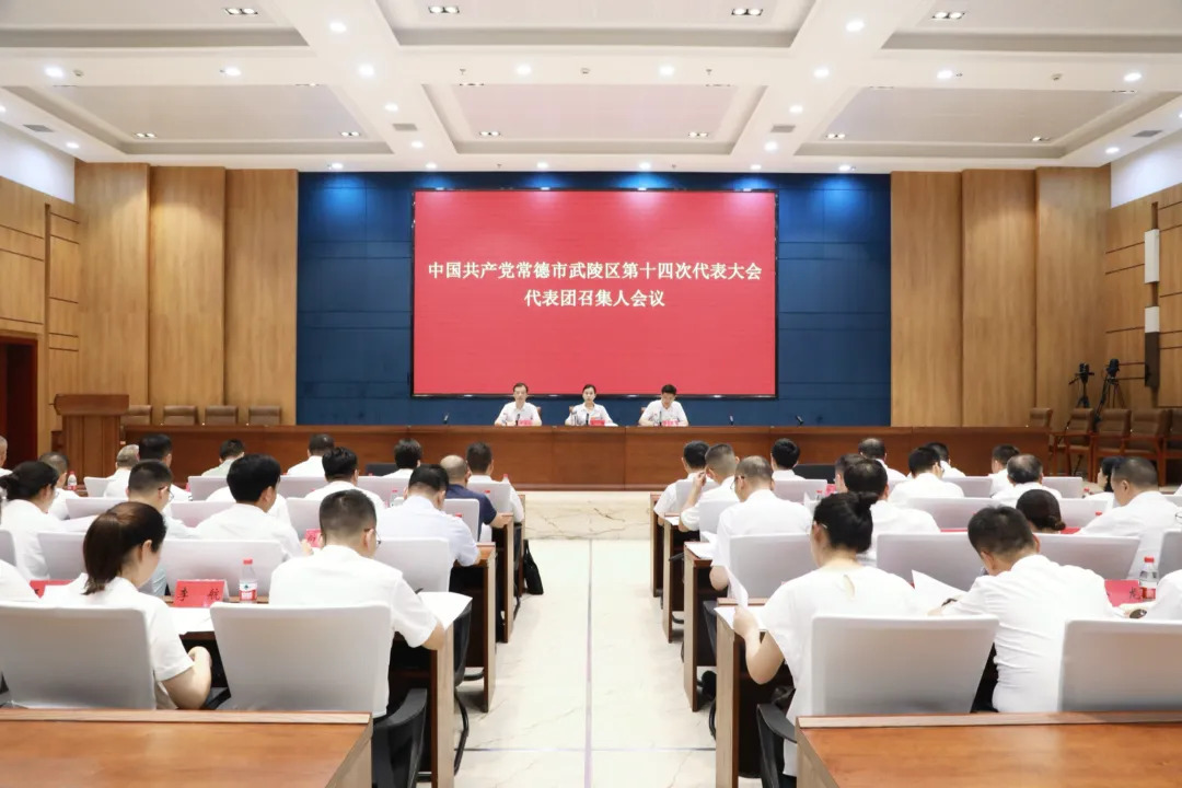 【喜迎党代会 谱写新篇章】区第十四次党代会举行代表团召集人会议