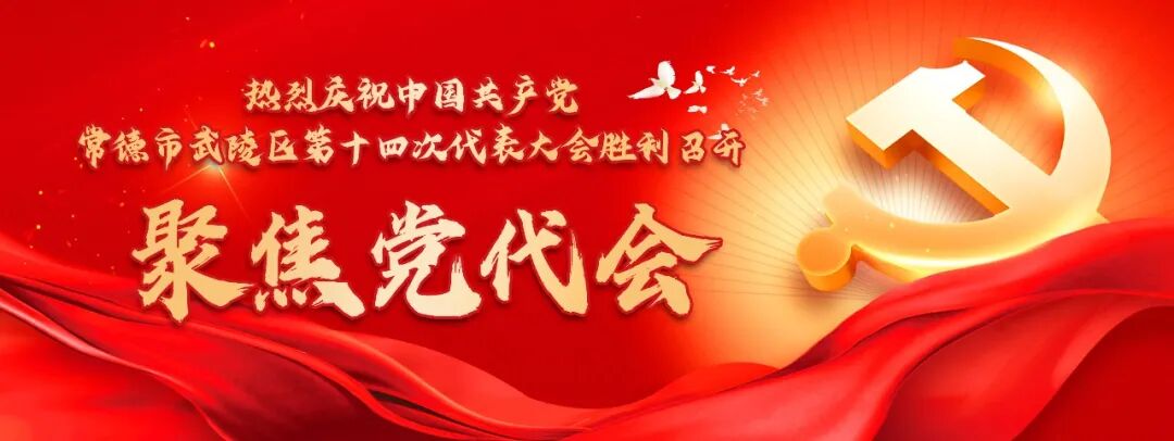【聚焦党代会】 话心声，谋发展，党代表们这样说（二）
