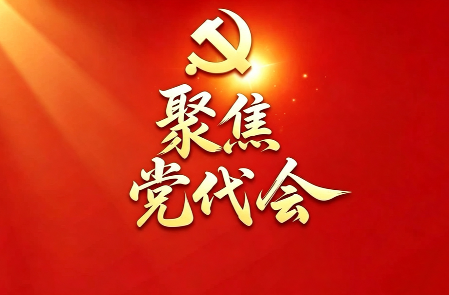 中国共产党常德市武陵区第十四次代表大会举行分团讨论