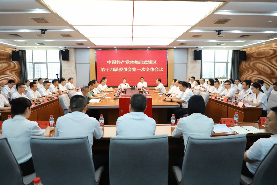 中国共产党常德市武陵区第十四届委员会举行第一次全体会议 宋磊当选武陵区委书记 寻健严森柯当选区委副书记